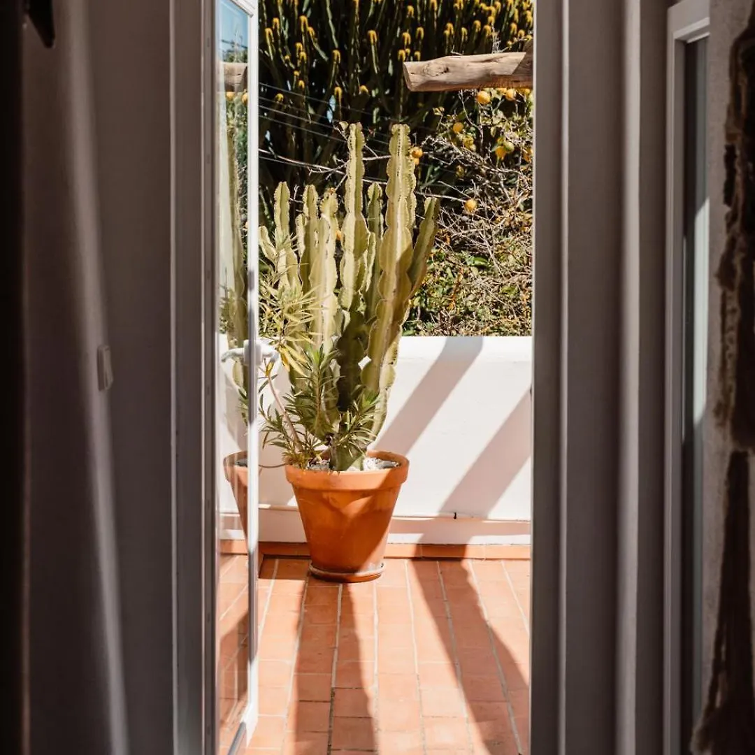 Valley Club - Agroturismo Ibiza Sant Joan De Labritja
